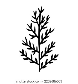 Christmas tree in doodle style. Hand drawn sketch of a Christmas tree. Vector illustration. Isolated on a white background. Illustration for graphics, website, logo, icons, postcards