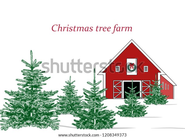 \
Christmas tree farm.\
Landscape with Christmas trees and farm. Vector vintage\
illustration. Color\
sketch.