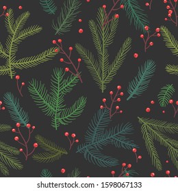 Christmas tree fir branch with red holly. Vector hand drawn seamless background