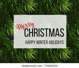 Christmas tree fir branches background. Vector Merry Christmas happy winter holidays. Greeting card