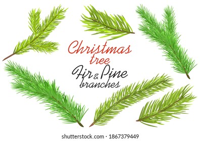 Weihnachtsbaumtanne und Kiefernäste einzeln auf Weiß, leicht zu verwenden für Rahmen, Rahmen, Grußkartenplakate, Webseitendesigns im realistischen oder Retro-Stil