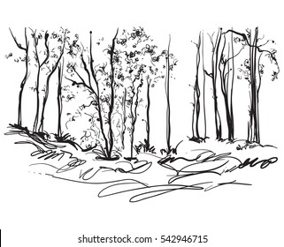 Christmas tree in the forest
