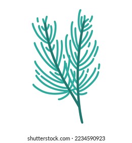 Christmas tree green branch vector icon. Hand drawn illustration isolated on white background. A twig of a coniferous plant with needles. Simple botanical doodle. Cartoon clipart for cards, posters