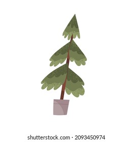 Christmas tree grow in pot. Eco-friendly organic farm fir in planter. Fresh live real firtree for sustainable Xmas and New Year winter holidays. Flat vector illustration isolated on white background