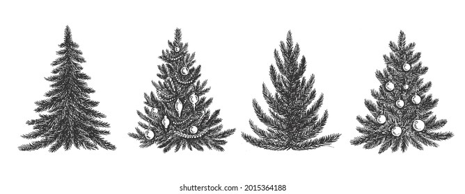 Christmas tree hand drawn illustration. Vector	
