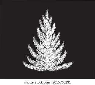 Christmas tree hand drawn illustration. Vector	
