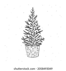 Christmas tree hand drawn illustration. Christmas tree in basket sketch clipart