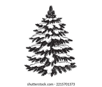 Christmas tree hand drawn illustration	