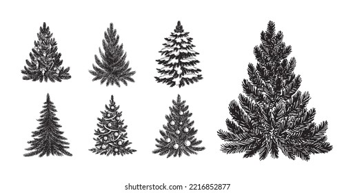 Christmas tree hand drawn illustration