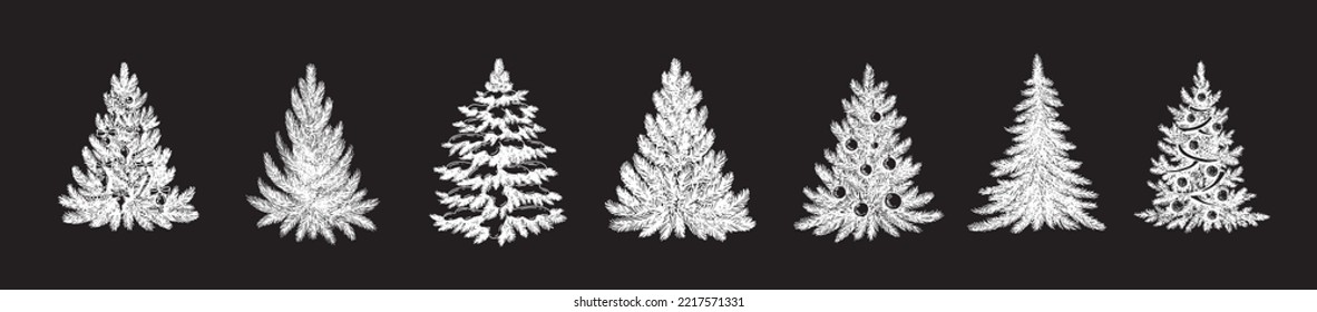 Christmas tree hand drawn illustration	
