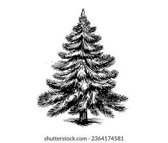 Christmas tree hand drawn illustration	