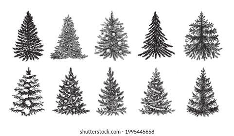 Christmas tree. Hand drawn style. Vector illustration.	
