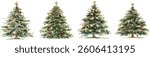Christmas tree, Hand-painted realistic watercolor illustration featuring Christmas. Soft, delicate brushstrokes, artistic holiday aesthetic. isolated on white background