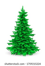 Christmas tree. Herringbone on a white background. Evergreen coniferous tree.