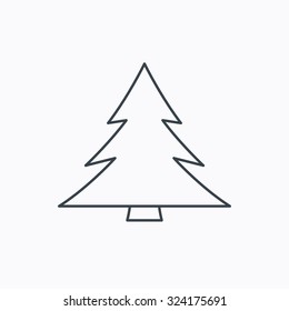 Christmas tree icon. Forest or nature sign. Traditional plant symbol. Linear outline icon on white background. Vector