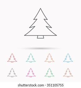Christmas tree icon. Forest or nature sign. Traditional plant symbol. Linear icons on white background.