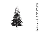 Christmas tree icon on white background without decoration. 
