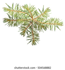  Christmas tree, isolated detailed vector