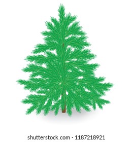 Christmas tree isolated on a white background