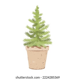 Christmas tree isolated on white background. Pine or fir tree vector illustration isolated on white