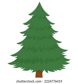 Christmas tree isolated on white background. Christmas tree without decorations.