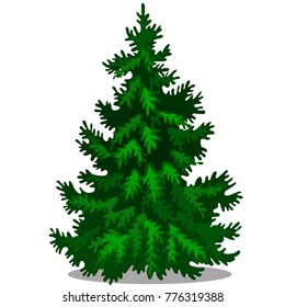 Christmas tree isolated on white background. Sample of poster, party holiday invitation, festive card. Vector cartoon close-up illustration.