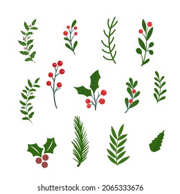 Christmas Tree Leaves Winter Green Leaf Designs Flat Vector