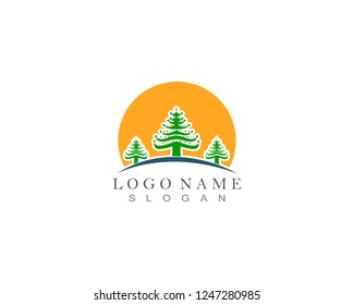 christmas tree logo template Premium Vector