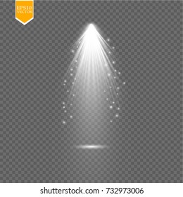 Christmas Tree made, White glitter bokeh lights and sparkles. Shining star, sun particles and sparks with lens flare effect on transparent background. Vector
