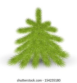 Christmas tree on white background