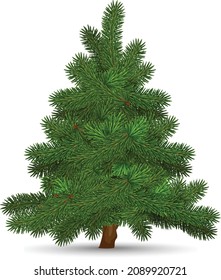Christmas tree on a white background. Highly realistic illustration.