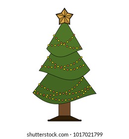 Christmas tree pine