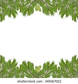 Christmas Tree Pine Branches Like Frame on White Background