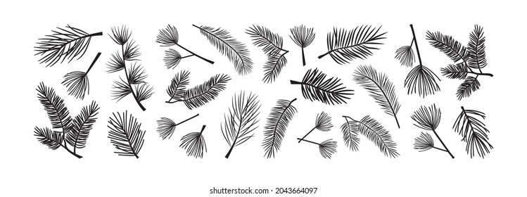 Christmas tree and pine cone, fir vector icon. Evergreen plant, pine branch set. Black silhouettes isolated on white background. Winter nature illustration