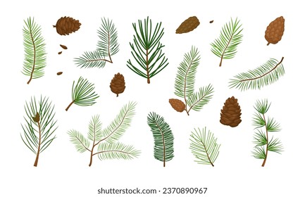 Christmas tree, pine cone, fir, cartoon evergreen plant, cedar twig vector icon, winter decoration, New Year foliage, holiday element. Xmas nature illustration isolated on white background