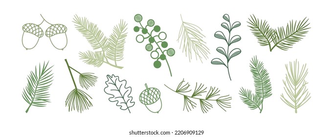 Pino y abeto navideños, biela de hojas, baya de invierno, bellota, planta evergreen, icono vectorial de ramas de cedro, madera de Año Nuevo, decoración navideña. Elementos dibujados a mano en la línea navideña. Ilustración de la naturaleza