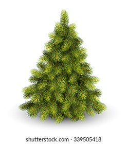 Christmas Tree Pine Isolated on White Background