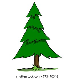 Christmas tree, pine tree vector illustration isolated on transparent background