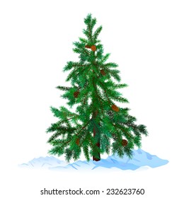 Christmas tree with pine-cones on white background.