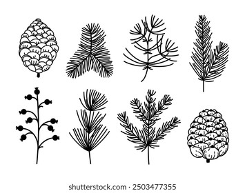 Christmas tree and plants vector set. Branch of spruce, pine, cedar, fir. Mistletoe with berries, cones, conifers. Winter twigs hand drawn. Black and white botanical sketch for cozy decorations, cards