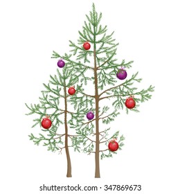 Christmas tree. Realistic small young fir trees decorated with red and purple balls. Vector illustration in white background.