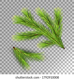 Christmas tree. Realistic spruce branch. Vector illustration