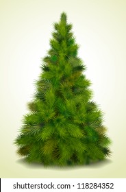 Christmas Tree, Realistic Vector Illustration