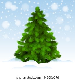 Christmas tree, realistic vector illustration
