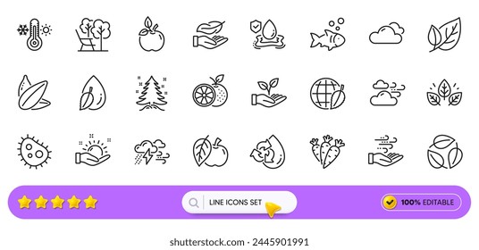 Christmas tree, Recycle water and Sunflower seed line icons for web app. Pack of Water drop, Orange, Organic tested pictogram icons. Sunny weather, Apple, Leaves signs. Flood insurance. Vector