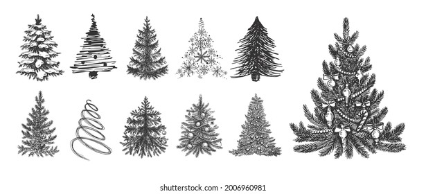 Christmas tree set. Hand drawn illustration. Vector.