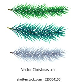 Christmas tree. Set of isolated realistic branches. Vector illustration.