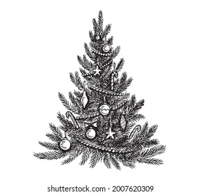 Christmas tree set. Merry Christmas and a Happy New Year. Hand drawn illustrations. Vector.