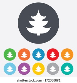 Christmas tree sign icon. Holidays button. Round colourful 11 buttons. Vector