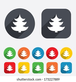 Christmas tree sign icon. Holidays button. Circles and rounded squares 12 buttons. Vector